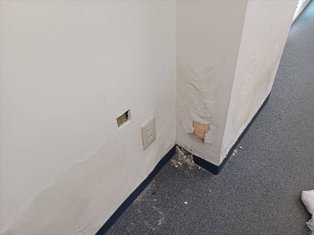 大阪市中央区で事務所ビル内の壁が膨れ上がったので、張り替え後塗装工事しました。