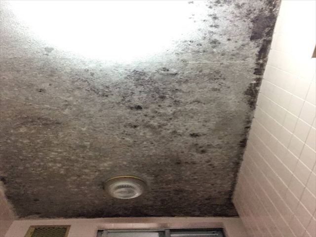 大阪市西淀川区で戸建住宅の浴室天井塗装工事を行いました。