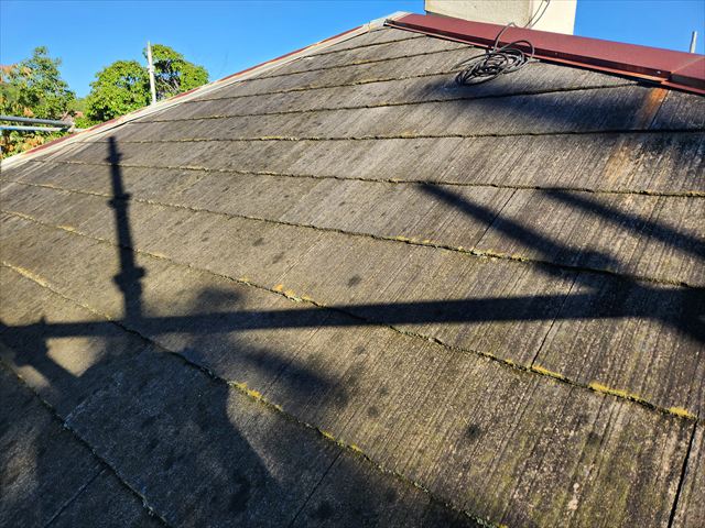 屋根材の色あせと汚れの付着を確認