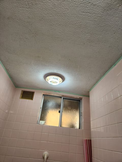 カビを除去した浴室天井