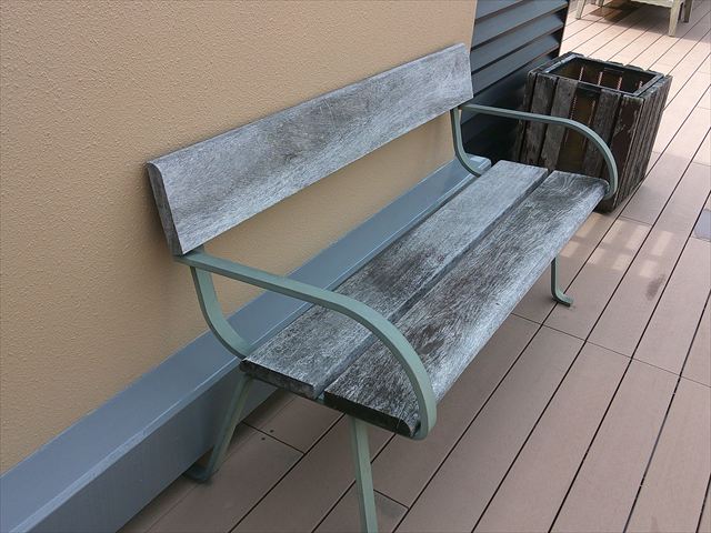 調査写真2：完全にグレー化した木部