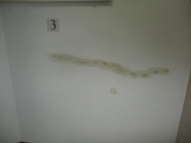 壁の下地調整終了