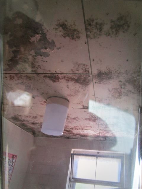 劣化した浴室天井