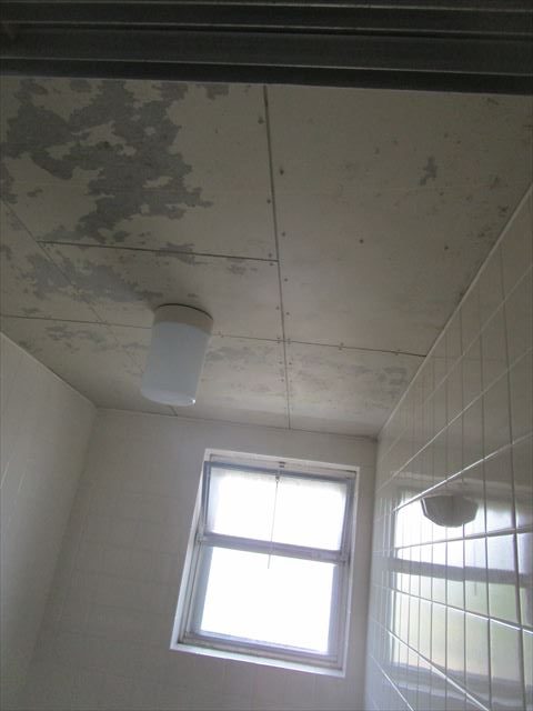 カビを除去した浴室天井